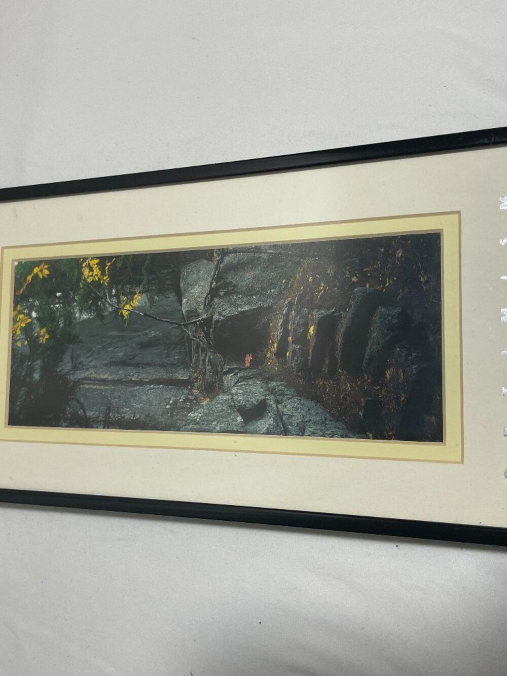 Vintage Successories Optimism Framed Print 1995 Acadia Beech Mountain Wall Art